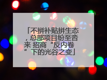 不拼补贴拼生态，总部项目纷至沓来 招商“反内卷”下的光谷之变