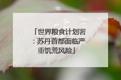 世界粮食计划署：苏丹首都面临严重饥荒风险