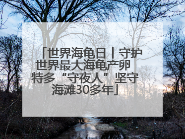 世界海龟日丨守护世界最大海龟产卵 特多“守夜人”坚守海滩30多年