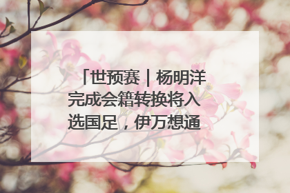 世预赛｜杨明洋完成会籍转换将入选国足，伊万想通了要打双后腰？