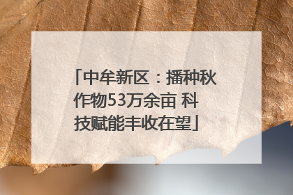 中牟新区：播种秋作物53万余亩 科技赋能丰收在望