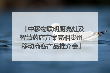 中移物联明厨亮灶及智慧药店方案亮相贵州移动商客产品推介会