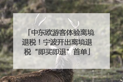 中东欧游客体验离境退税！宁波开出离境退税“即买即退”首单