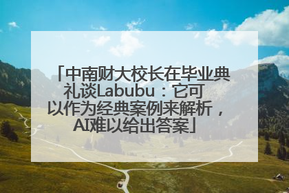 中南财大校长在毕业典礼谈Labubu：它可以作为经典案例来解析，AI难以给出答案