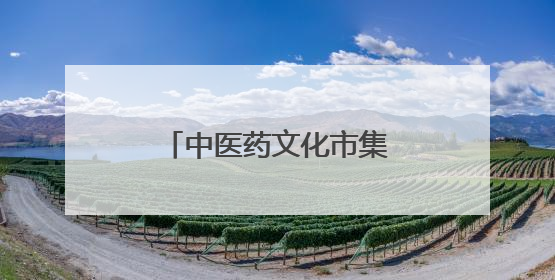 中医药文化市集开进大学校园