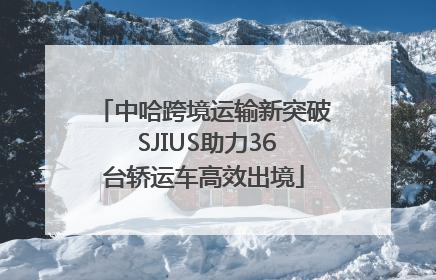 中哈跨境运输新突破 SJIUS助力36台轿运车高效出境