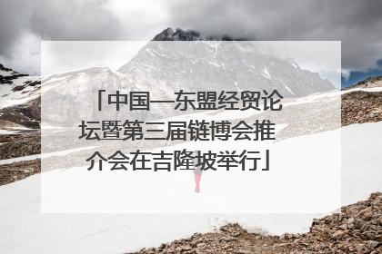 中国—东盟经贸论坛暨第三届链博会推介会在吉隆坡举行