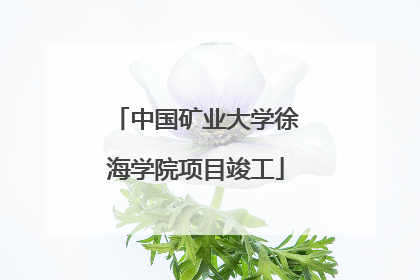 中国矿业大学徐海学院项目竣工