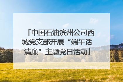 中国石油滨州公司西城党支部开展“端午话清廉”主题党日活动