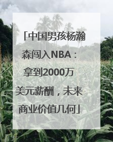 中国男孩杨瀚森闯入NBA：拿到2000万美元薪酬，未来商业价值几何