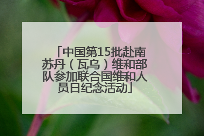 中国第15批赴南苏丹（瓦乌）维和部队参加联合国维和人员日纪念活动
