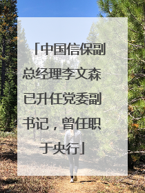 中国信保副总经理李文森已升任党委副书记，曾任职于央行