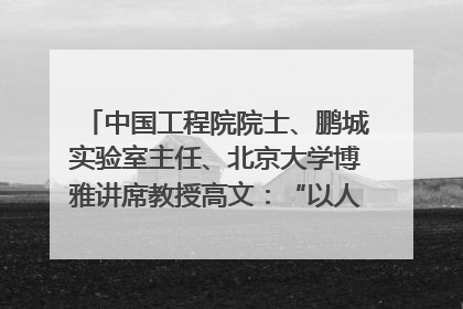 中国工程院院士、鹏城实验室主任、北京大学博雅讲席教授高文：“以人为本 智能向善” 推动文化与科技相生相促｜聚焦2025文化强国建设高峰论坛