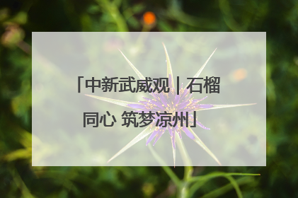 中新武威观｜石榴同心 筑梦凉州