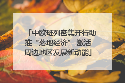 中欧班列密集开行助推“落地经济” 激活周边地区发展新动能