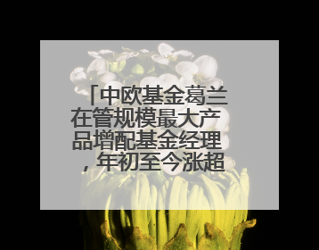 中欧基金葛兰在管规模最大产品增配基金经理，年初至今涨超11%