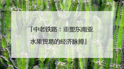 中老铁路：重塑东南亚水果贸易的经济脉搏
