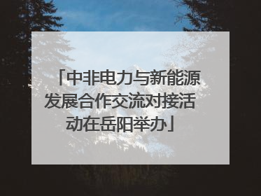 中非电力与新能源发展合作交流对接活动在岳阳举办