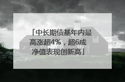 中长期债基年内最高涨超4%，超6成净值表现创新高
