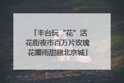 丰台玩“花”活 花街夜市百万片玫瑰花瓣雨甜翻北京城