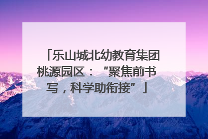 乐山城北幼教育集团桃源园区：“聚焦前书写，科学助衔接”