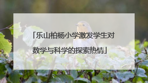 乐山柏杨小学激发学生对数学与科学的探索热情