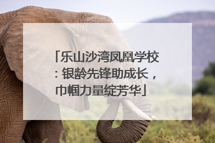 乐山沙湾凤凰学校：银龄先锋助成长，巾帼力量绽芳华