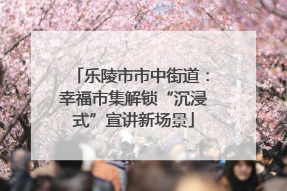 乐陵市市中街道：幸福市集解锁“沉浸式”宣讲新场景