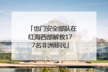 也门安全部队在红海西部解救177名非洲移民