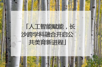 人工智能赋能，长沙跨学科融合开启公共美育新进程