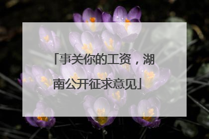 事关你的工资，湖南公开征求意见