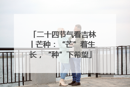 二十四节气看吉林丨芒种：“芒”着生长，“种”下希望