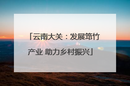 云南大关：发展筇竹产业 助力乡村振兴