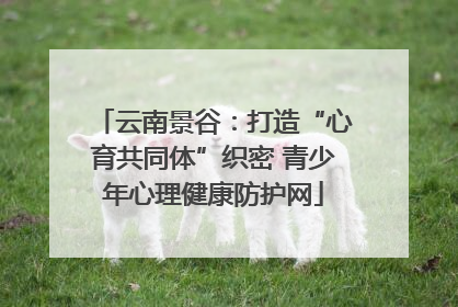 云南景谷：打造“心育共同体”织密 青少年心理健康防护网