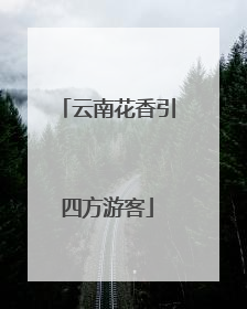 云南花香引四方游客
