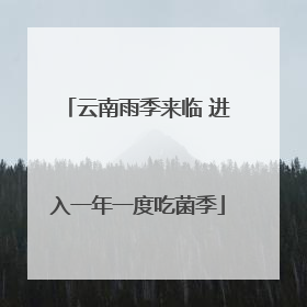 云南雨季来临 进入一年一度吃菌季