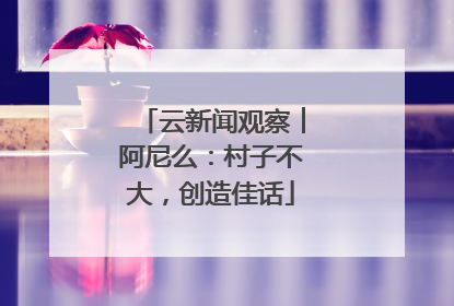 云新闻观察︱阿尼么：村子不大，创造佳话