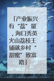产业振兴有“荔”量，海口秀英火山荔枝王铺就乡村“甜蜜”致富路