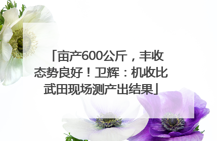 亩产600公斤，丰收态势良好！卫辉：机收比武田现场测产出结果