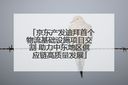 京东产发迪拜首个物流基础设施项目交割 助力中东地区供应链高质量发展