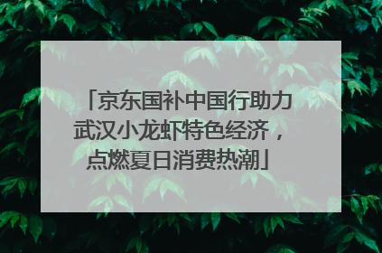京东国补中国行助力武汉小龙虾特色经济，点燃夏日消费热潮