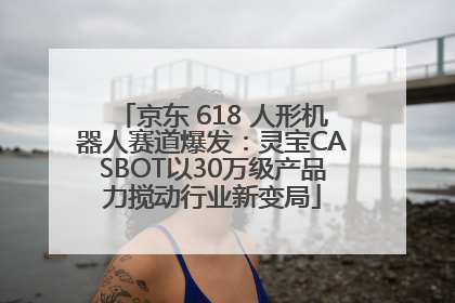 京东 618 人形机器人赛道爆发：灵宝CASBOT以30万级产品力搅动行业新变局