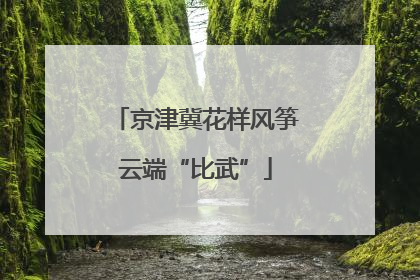 京津冀花样风筝云端“比武”