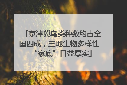 京津冀鸟类种数约占全国四成，三地生物多样性“家底”日益厚实