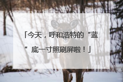 今天，呼和浩特的“蓝”底一寸照刷屏啦！