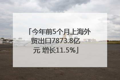 今年前5个月上海外贸出口7873.8亿元 增长11.5%