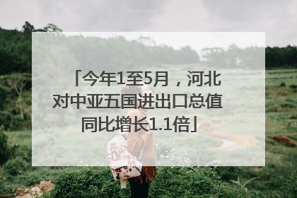 今年1至5月，河北对中亚五国进出口总值同比增长1.1倍