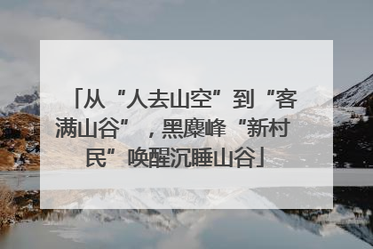 从“人去山空”到“客满山谷”，黑麋峰“新村民”唤醒沉睡山谷