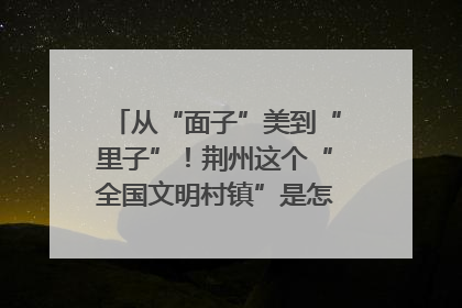 从“面子”美到“里子”！荆州这个“全国文明村镇”是怎样炼成的？