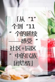 从“1”个到“11”个的延续——感受“社区+园区”中的民族团结情